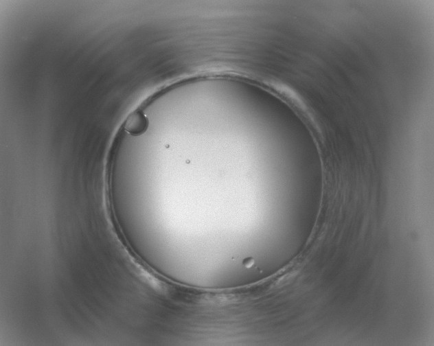 X0000054461286200508121927