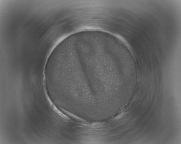 X0000054461287200508121927