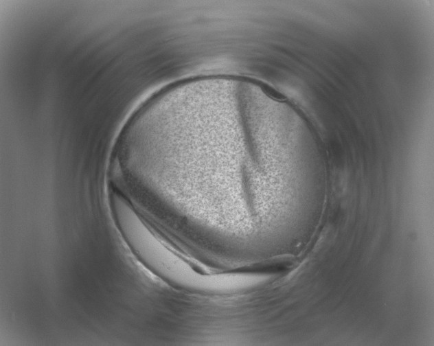 X0000054461288200508121927