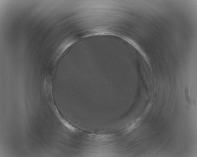 X0000054461289200508121927