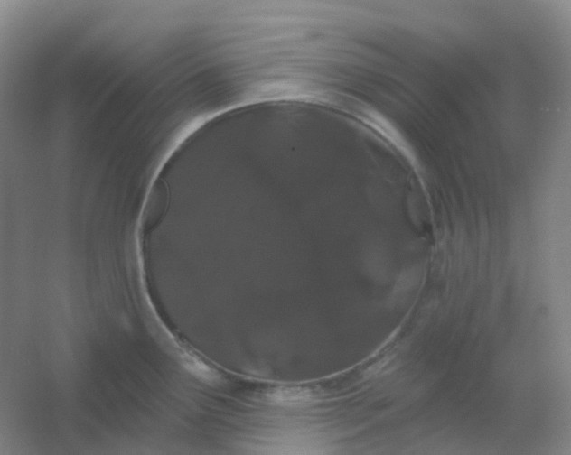 X0000054461291200508121927