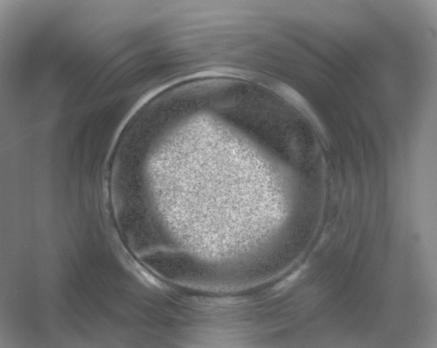 X0000054461292200508121927