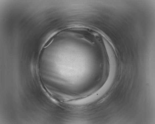 X0000054461293200508121927