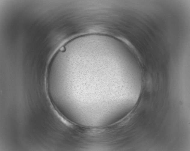 X0000054461294200508121927