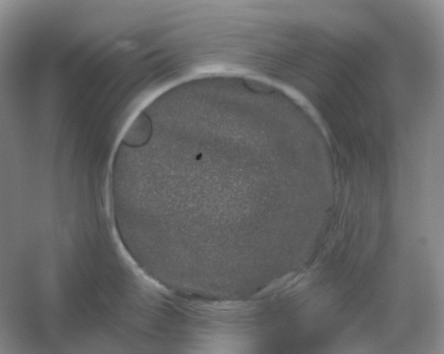 X0000054461295200508121927