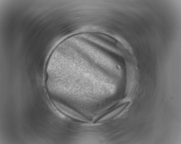 X0000054461296200508121927