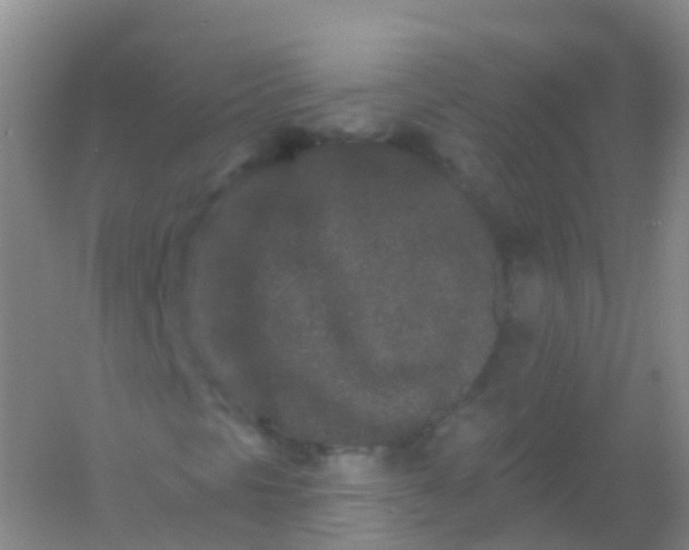 X0000054461297200508121926