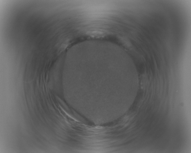 X0000054461298200508121926