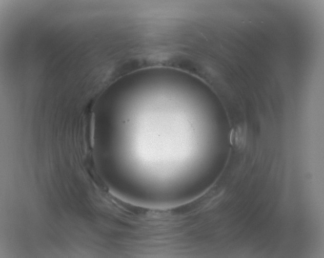 X0000054461299200508121926