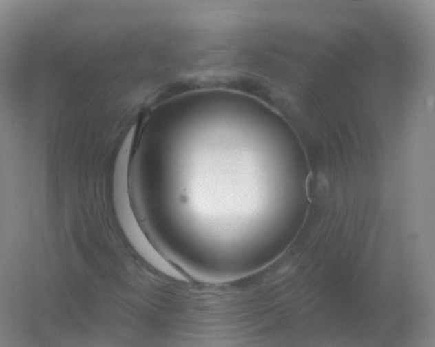 X0000054461300200508121926