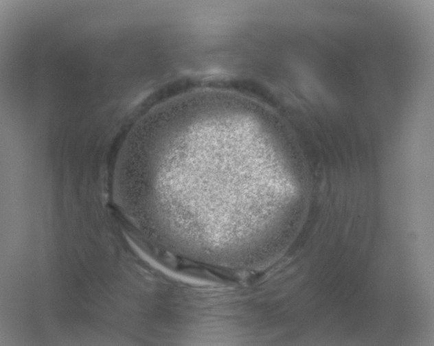 X0000054461301200508121926