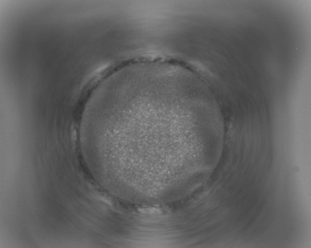 X0000054461302200508121926