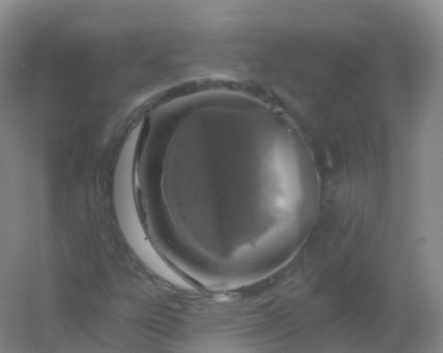 X0000054461303200508121926