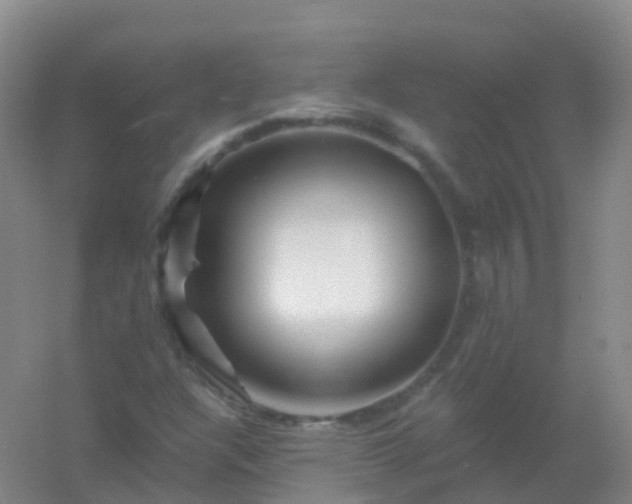 X0000054461304200508121926