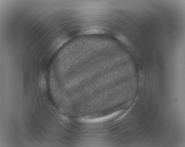 X0000054461305200508121927