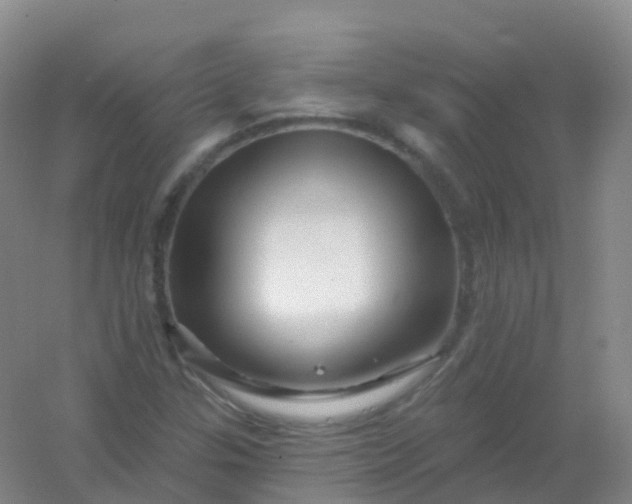 X0000054461307200508121927