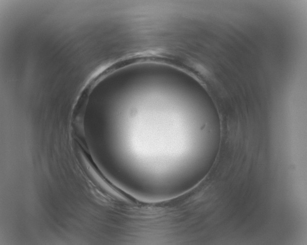 X0000054461308200508121927