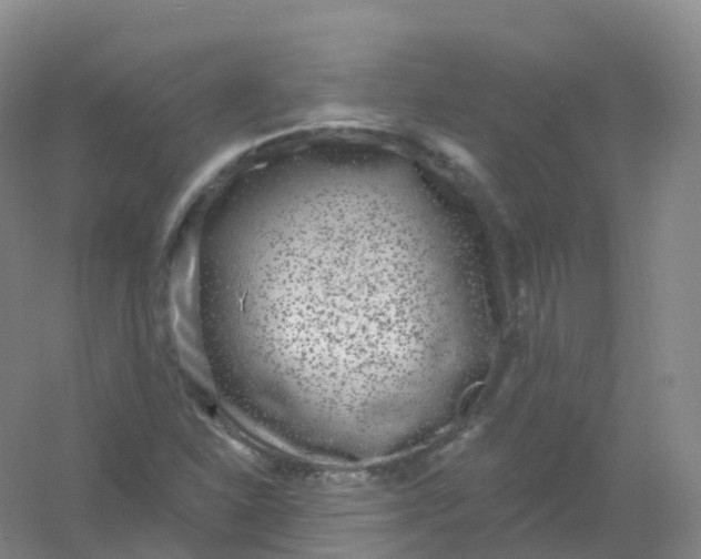 X0000054461310200508121927