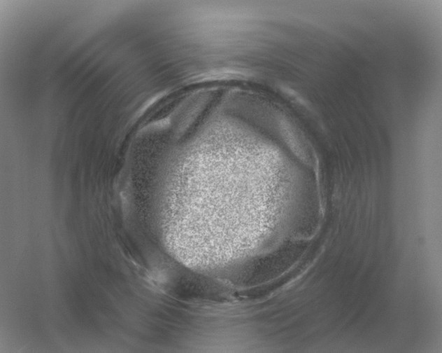 X0000054461313200508121927