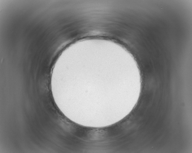 X0000054461314200508121927