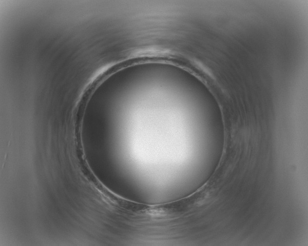 X0000054461315200508121927