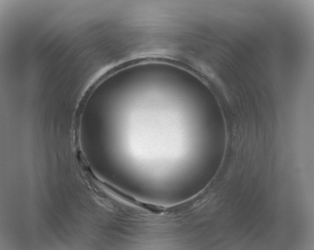 X0000054461316200508121927