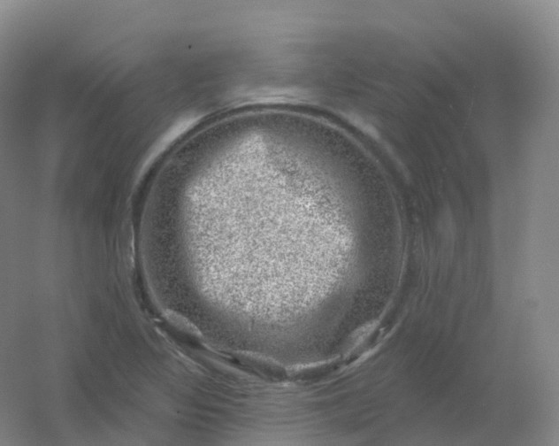 X0000054461317200508121927