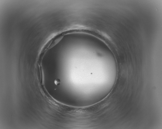 X0000054461318200508121927