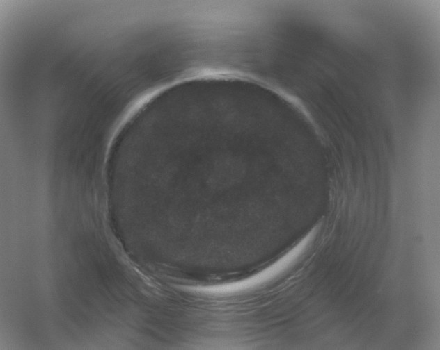 X0000054461319200508121927