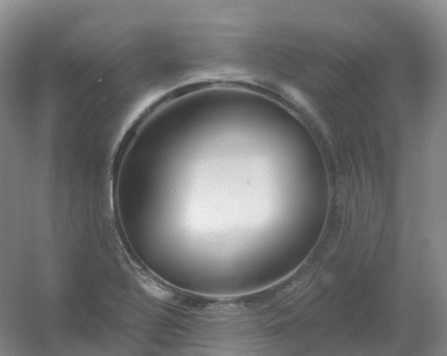 X0000054461320200508121927