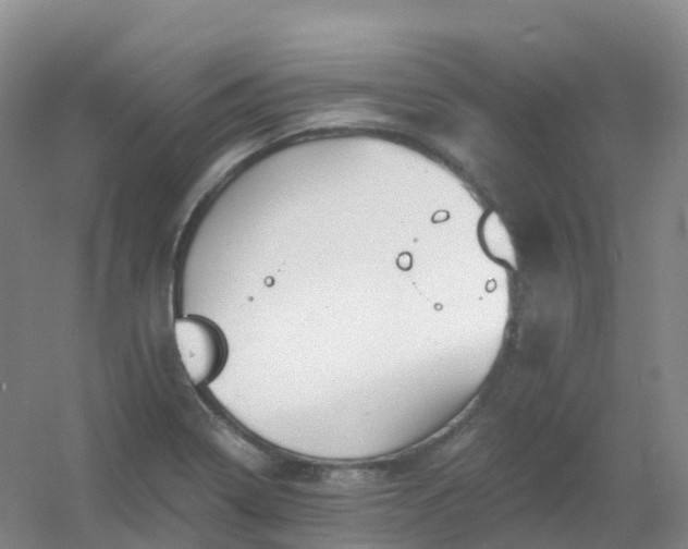 X0000054461322200508121927