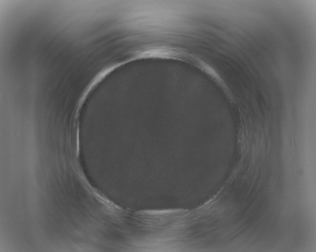 X0000054461323200508121927