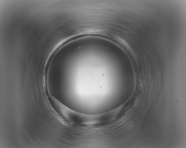 X0000054461324200508121927