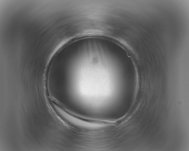 X0000054461325200508121927