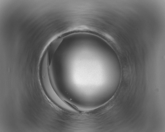 X0000054461326200508121927