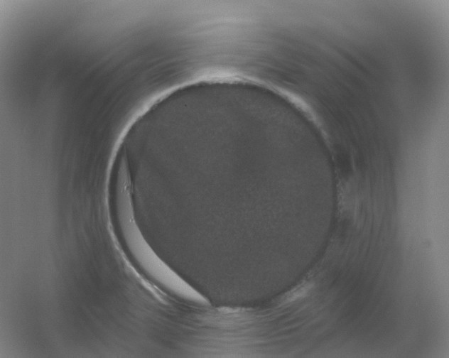 X0000054461327200508121927