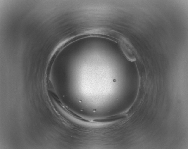 X0000054461328200508121927