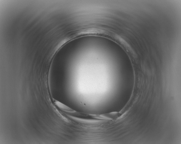 X0000054461329200508121927