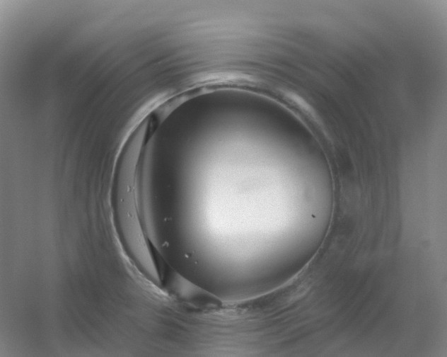 X0000054461330200508121927