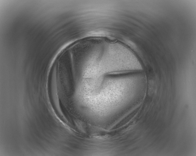 X0000054461331200508121927