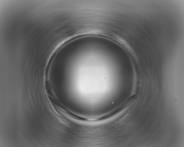 X0000054461332200508121927