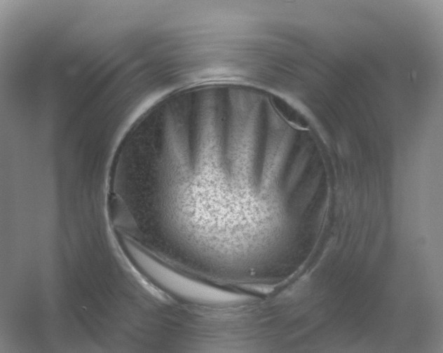 X0000054461333200508121927