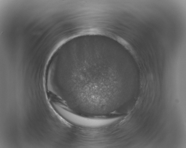 X0000054461334200508121927