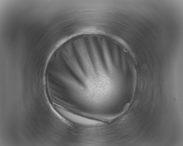 X0000054461335200508121927