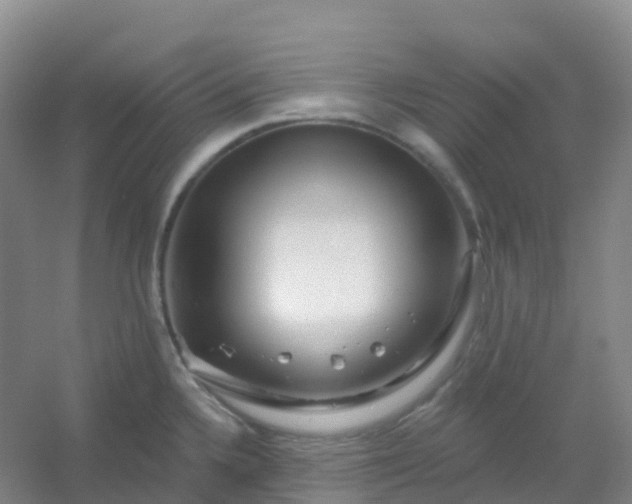 X0000054461336200508121927