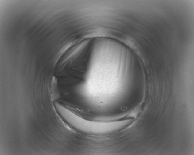 X0000054461337200508121927