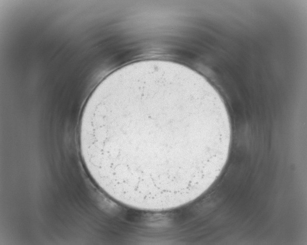 X0000054461338200508121927