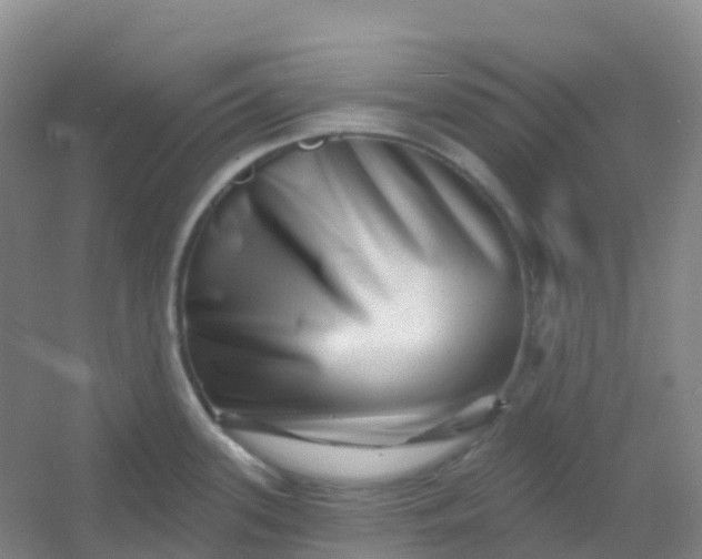 X0000054461339200508121927