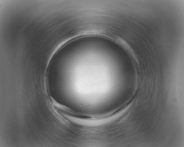 X0000054461340200508121927