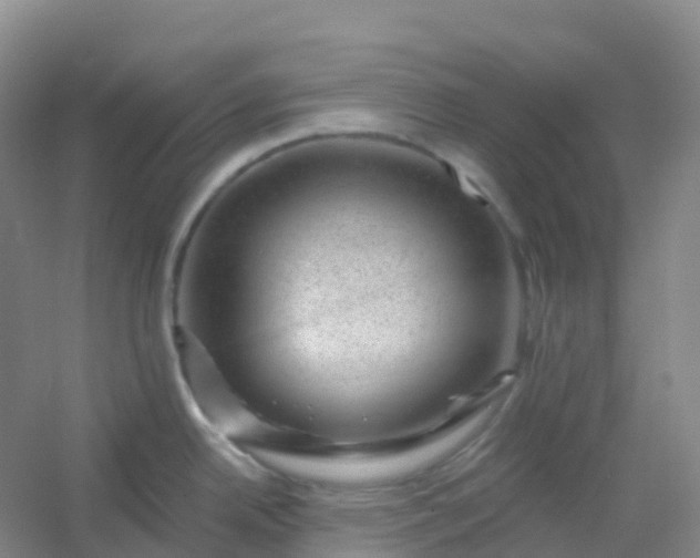 X0000054461342200508121927